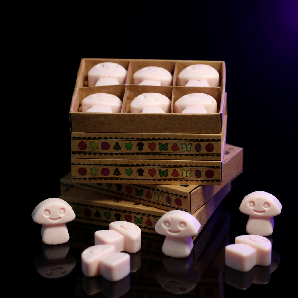 Gift Set of 6 Wax Melts - Dark Sandalwood